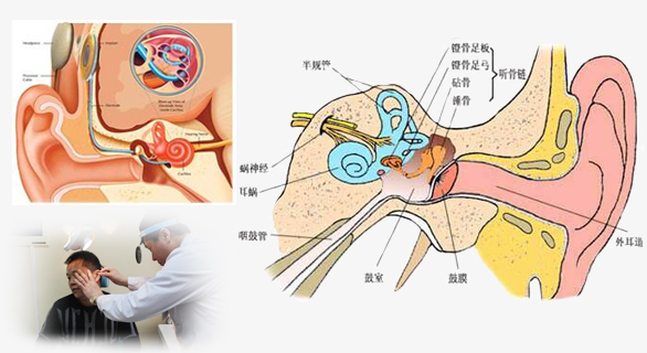 (ni)Y(ji)(gu)ct(y)z